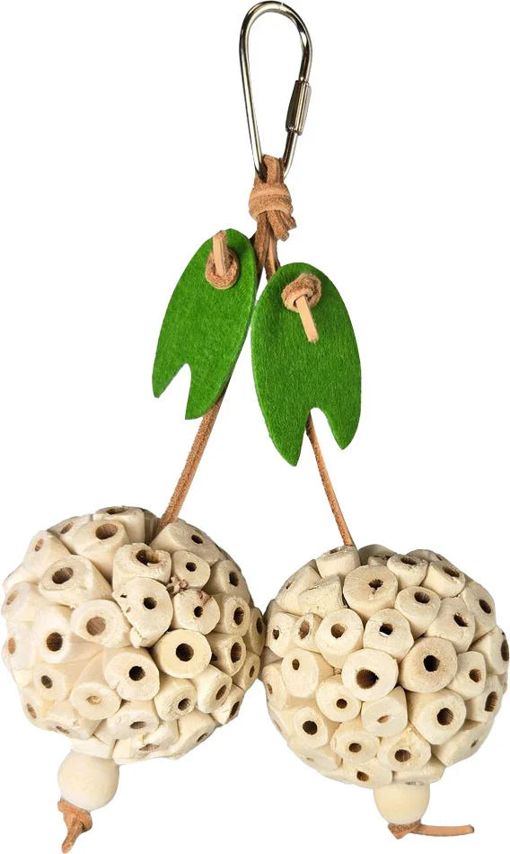 HAPPY BEAKS PICKY PAIR HANGING BIRD CHEW