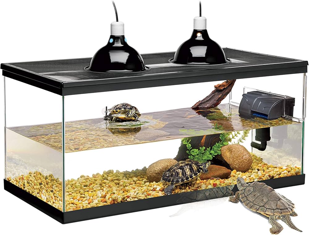 TURTLE STARTER KIT