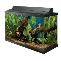 20 Gallon High Tank W/ Lid
