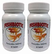 Penicillin