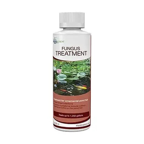 Fungus Treatment