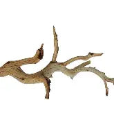 Ghostwood LG
