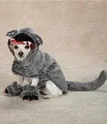 big bad wolf dog costume
