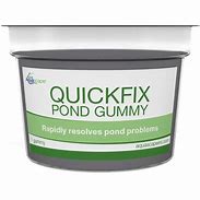 Pond Gummy
