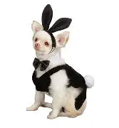 party hound bunny costume