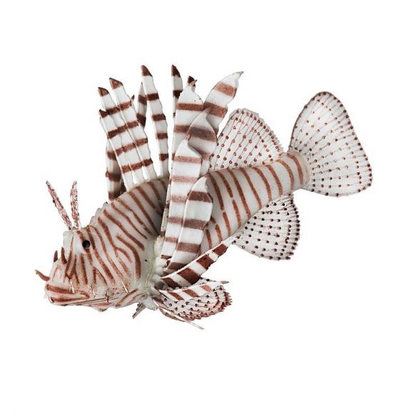AQUATOP 5" Lionfish
