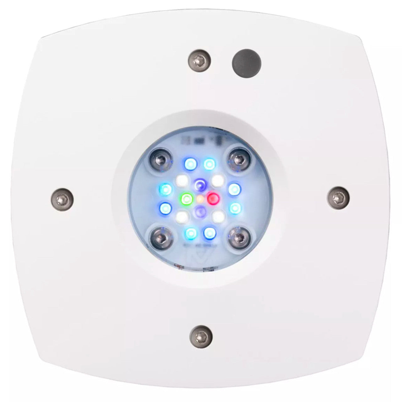 AI Prime Freshwater White