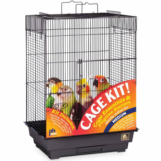 Bird Cage Kit
