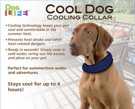 Cooling Collar MD