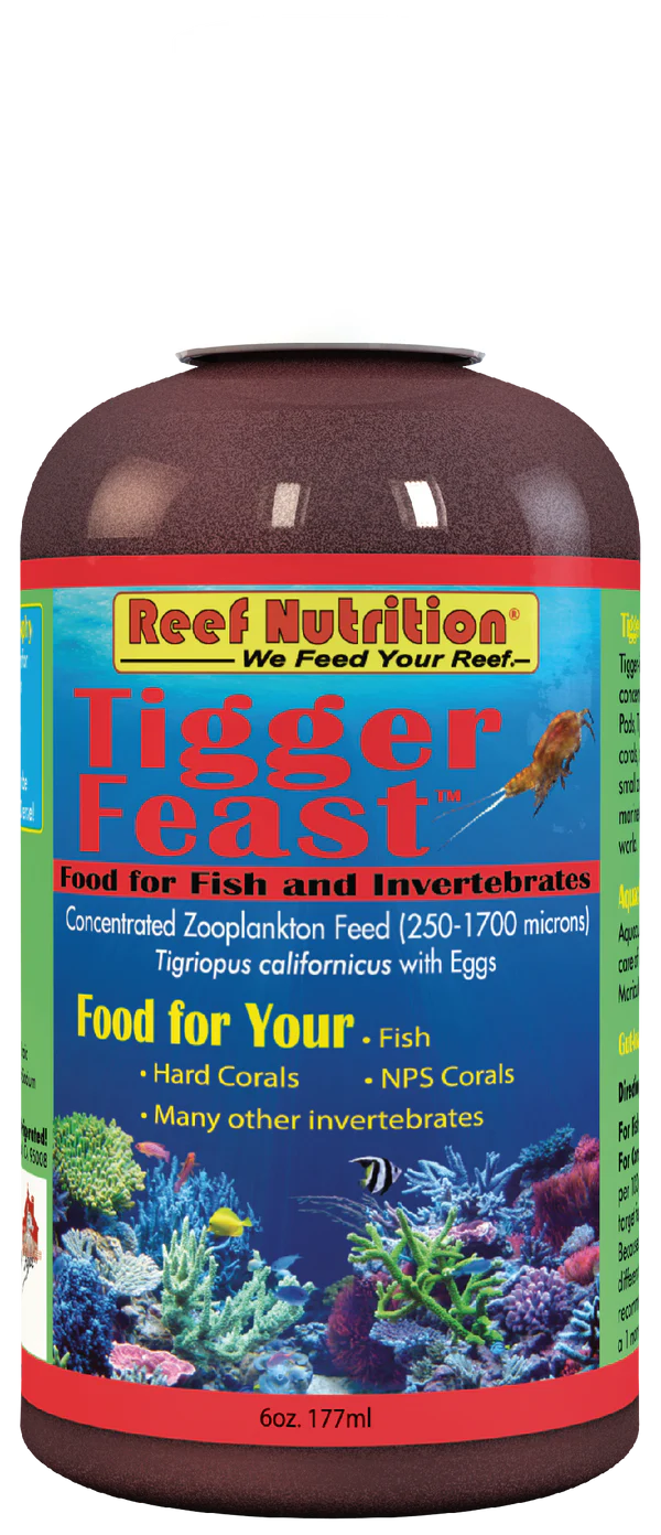 Tigger Feast