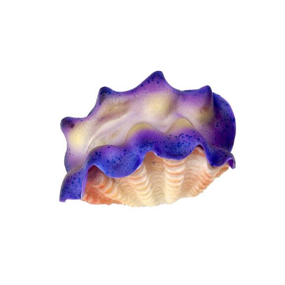 AQUATOP Tridacna Clam