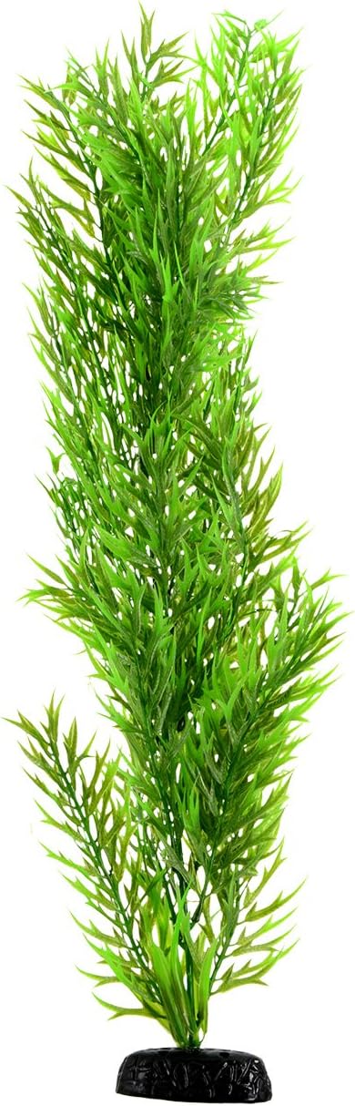 Green Bamboo - 24"