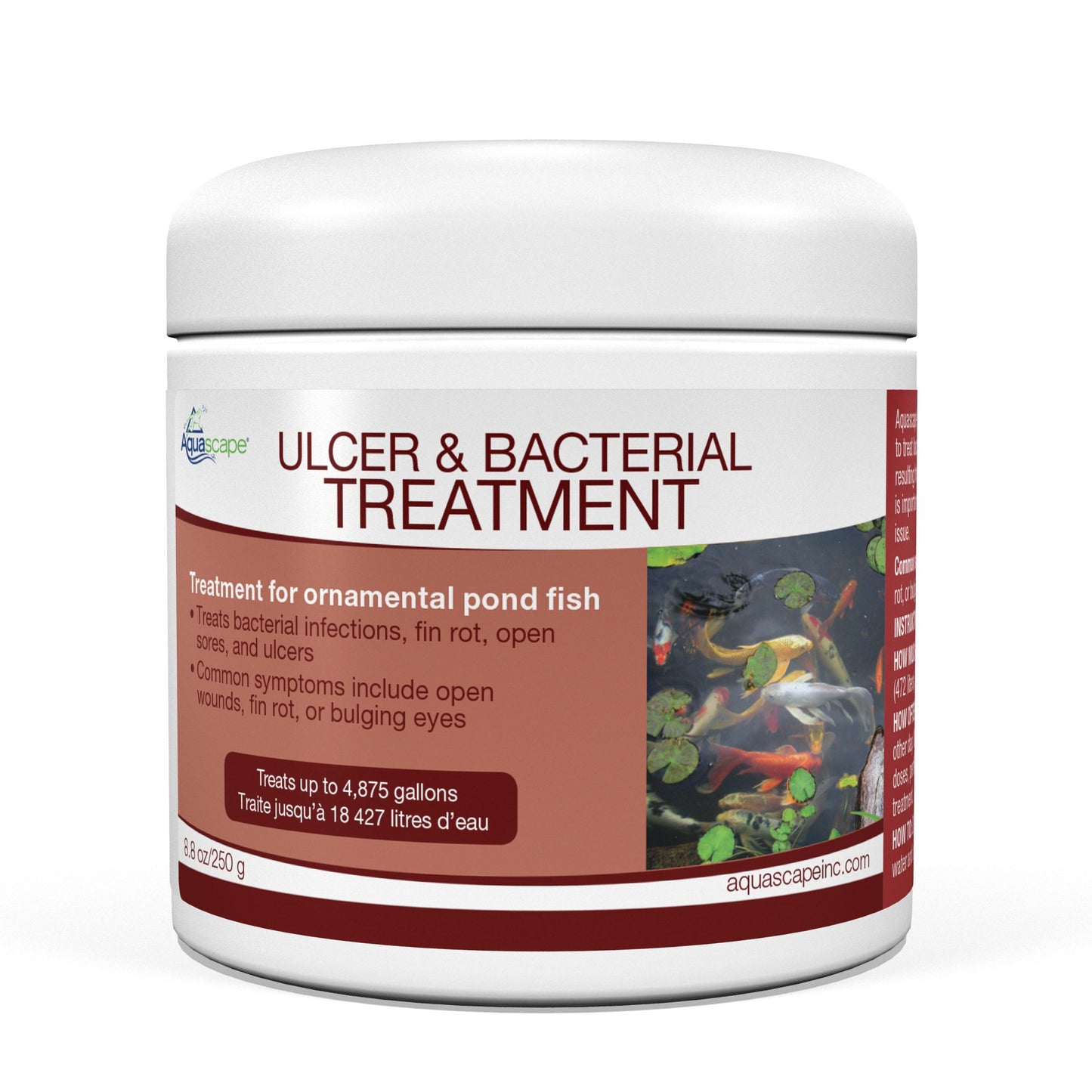 Ulcer & Bacteria Treatment