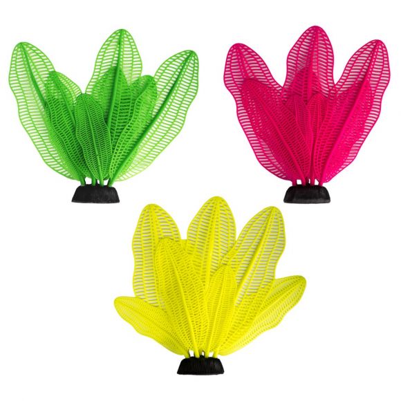 AQUATOP Vibrant Madagascar Lace (3 Pack)