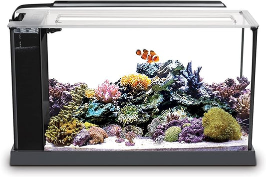 Saltwater Mini-Reef Aquarium Set up
