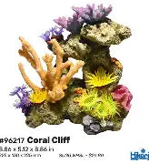 coral cliff