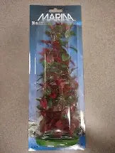 Red Ludwigia 24"