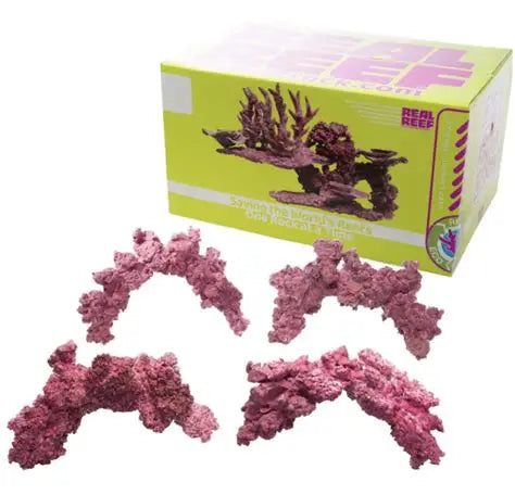 Reef Arch sm