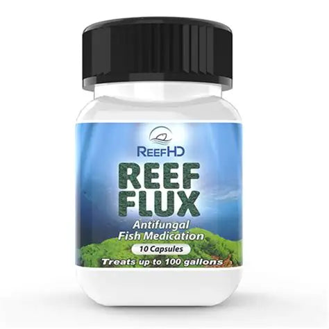 Reef Flux