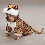 tigerrr costume