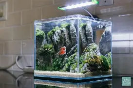 Hello Reef Tank Bundle