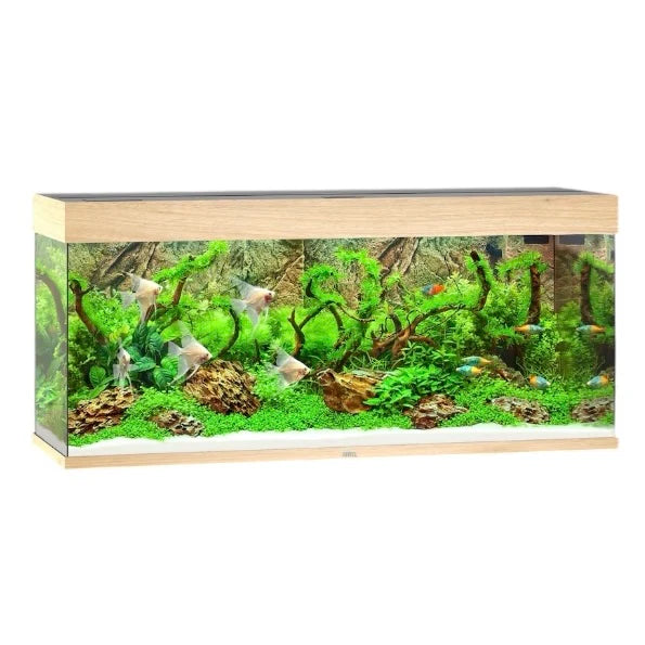Juwel Rio 240 light wood