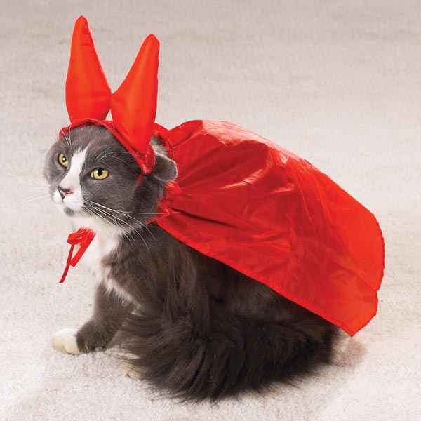 "the evil one" cat costume
