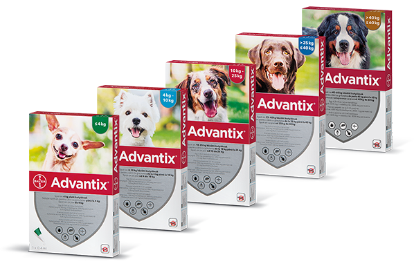 Single Package of Advantix