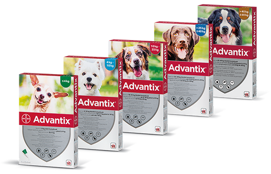 Single Package of Advantix