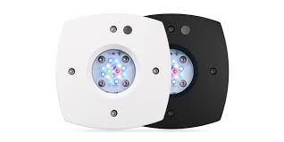 AI prime 16HD Reef