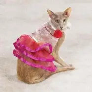 princess cat costume