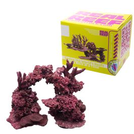Reef Arch LG