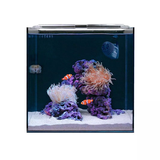 Hello Reef Tank-Glass Only