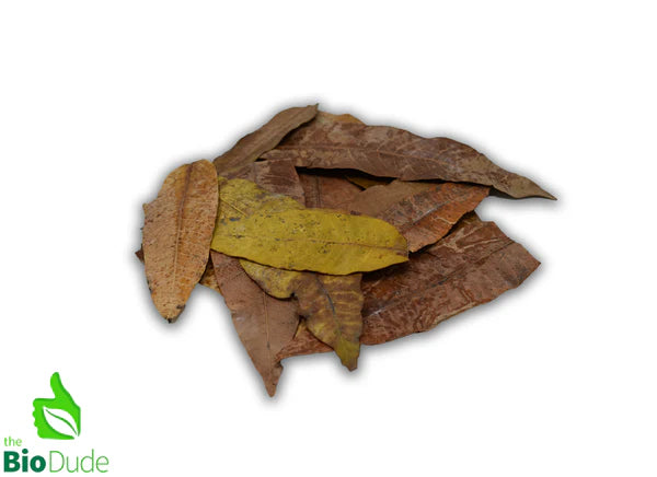 Colombian Leaf Litter